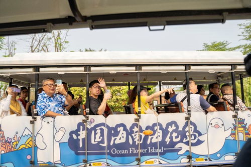 去年,這個(gè)國(guó)家來(lái)海南旅游人數(shù)同比增長(zhǎng)超33倍